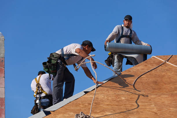 Best Roof Gutter Cleaning  in Clarkesville, GA