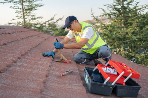 Best Metal Roofing Contractor  in Clarkesville, GA
